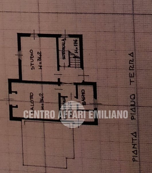 Immagine 5